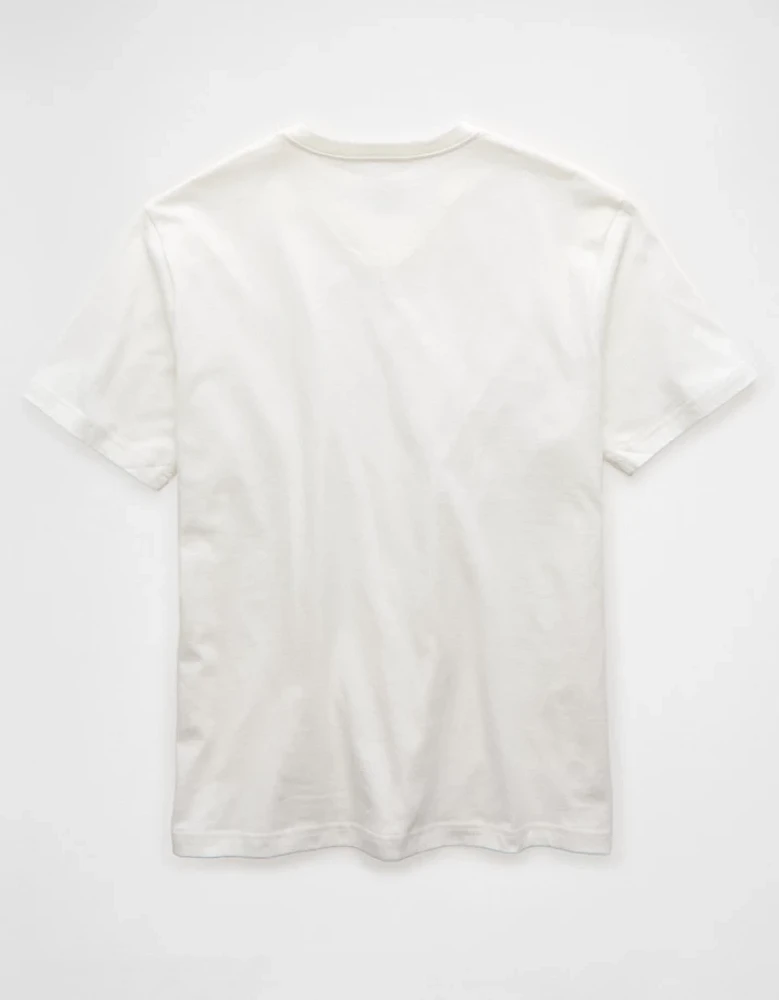 AE Lived-In V-Neck T-Shirt