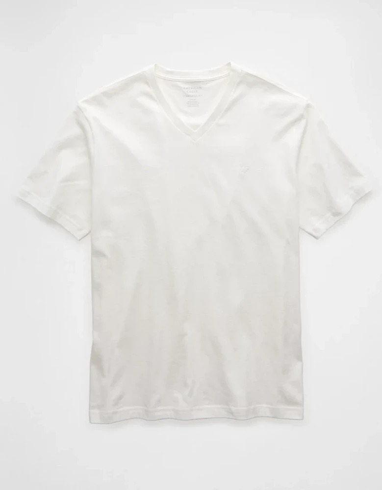 AE Lived-In V-Neck T-Shirt
