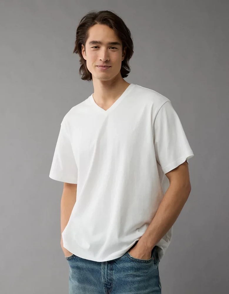 AE Lived-In V-Neck T-Shirt