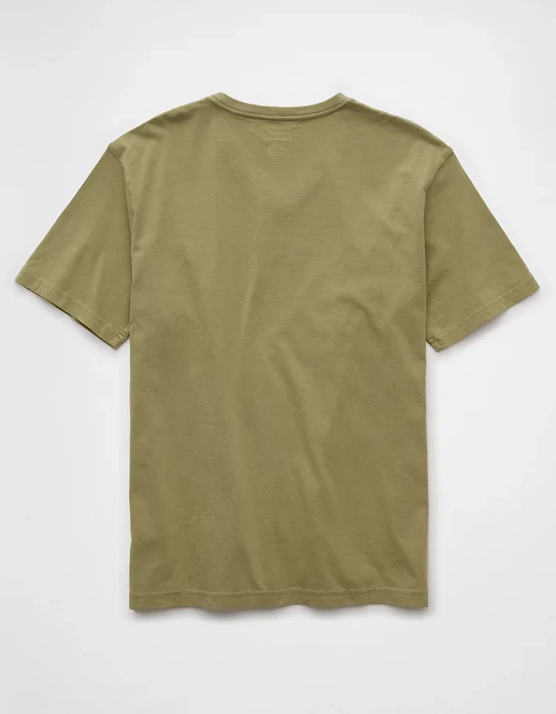 AE Lived-In V-Neck T-Shirt