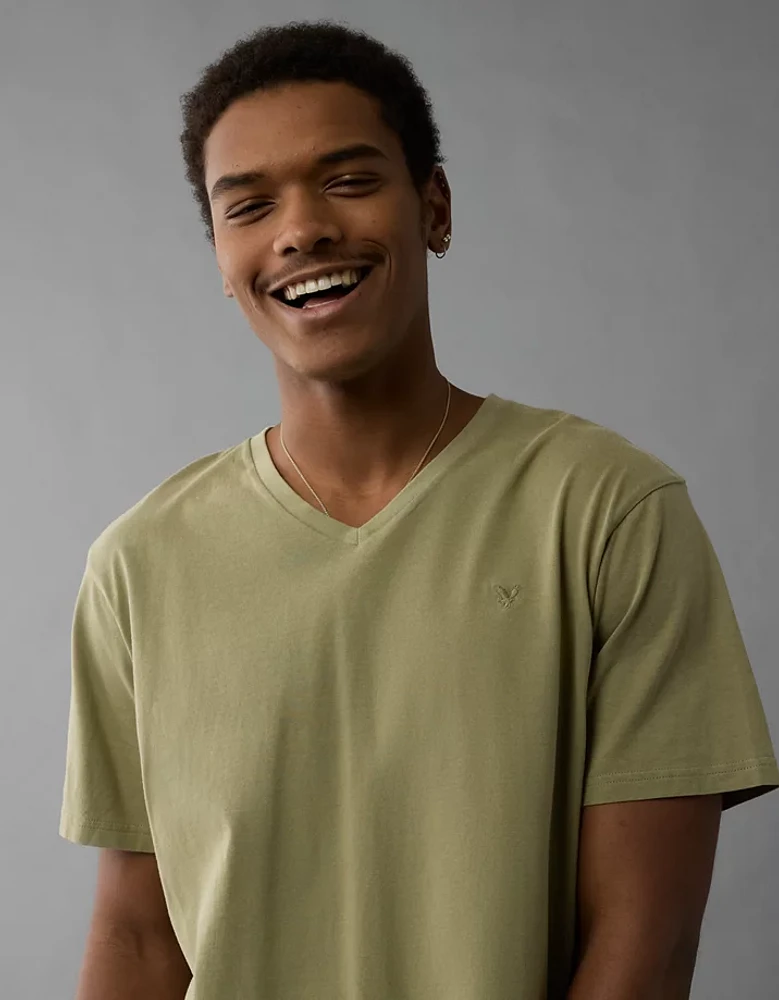 AE Lived-In V-Neck T-Shirt