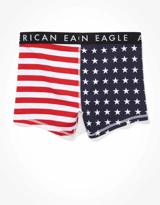 AEO Plaid 4.5 Classic Boxer Brief