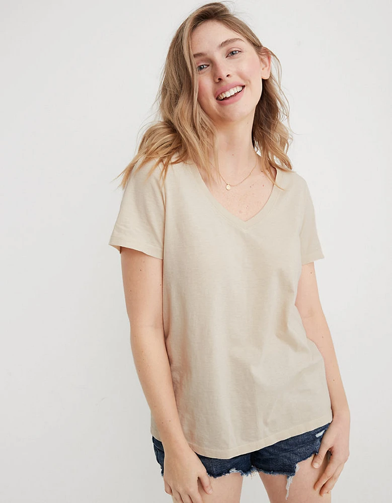 Aerie Basic V-Neck T-Shirt