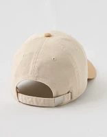 Aerie Colorblock Baseball Hat