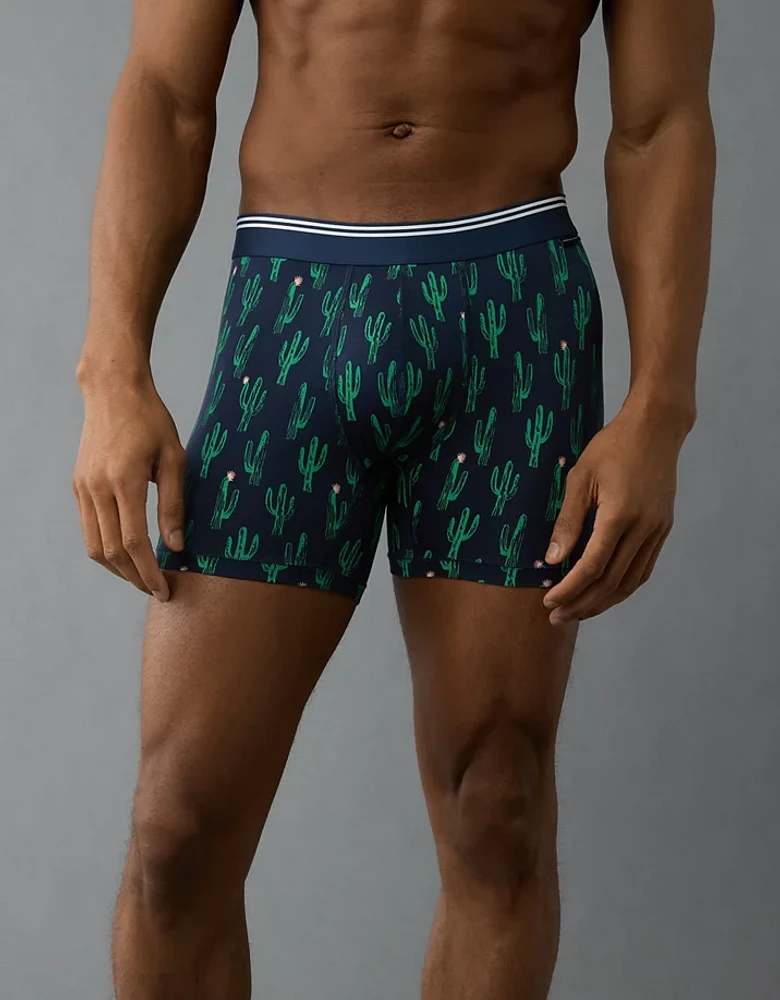 AEO Men's Cacti 4.5" Ultra Soft Boxer Brief