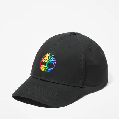 TIMBERLAND | Rainbow Logo Baseball Cap