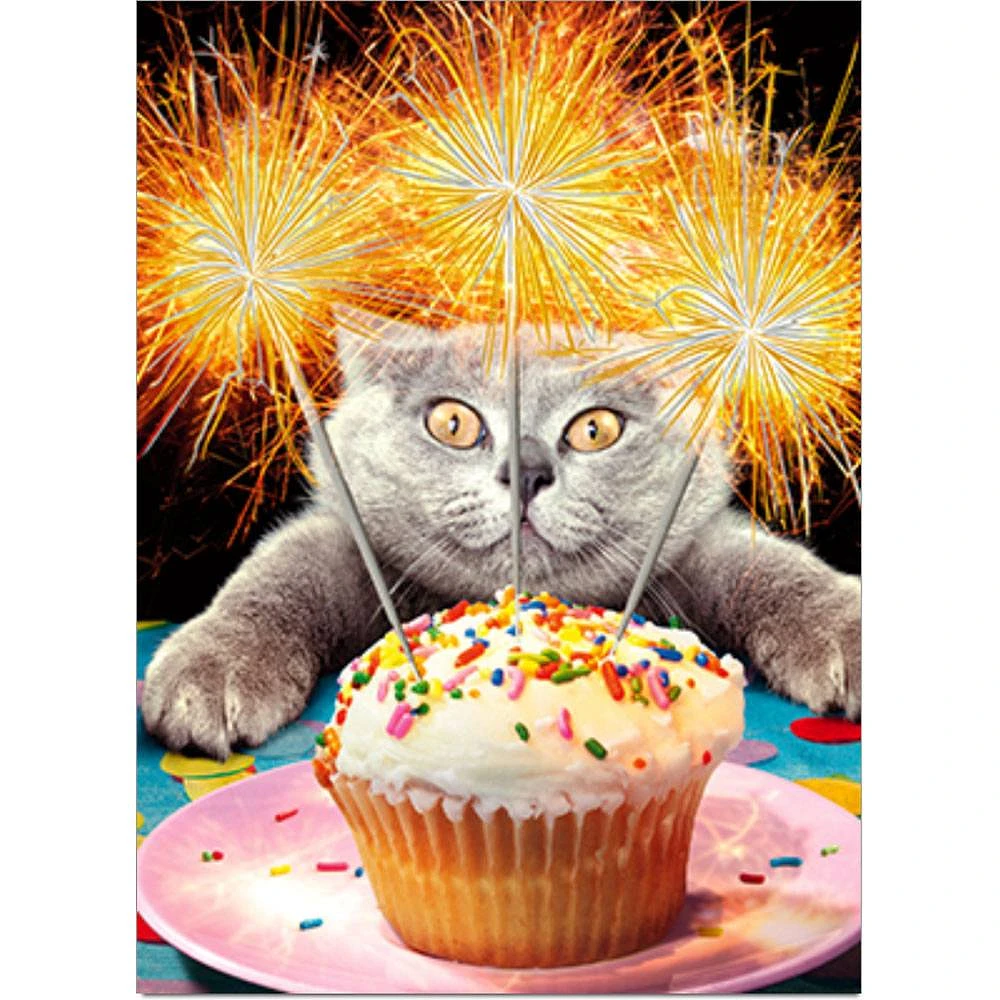 Cat With Sparklers Birthday Card