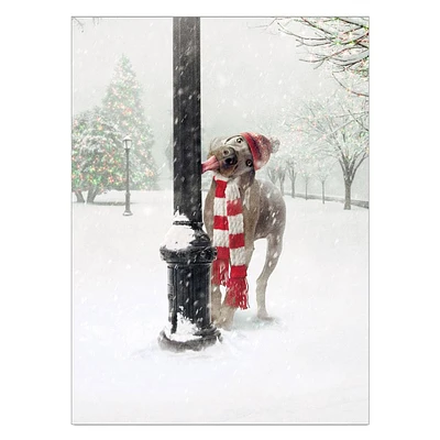 Dog Stuck on Pole Christmas Card