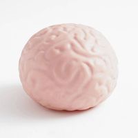 Giant Brain Stress Ball