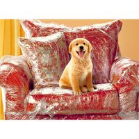 Golden Retriever Greeting Card