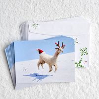 Alpaca Holiday Card Set