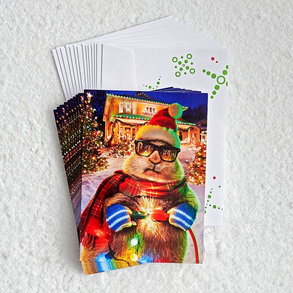 Extra Merry Extra Bright Holiday Card Set