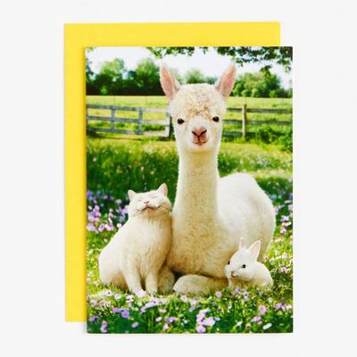 Llama, Bunny and Cat Easter Card