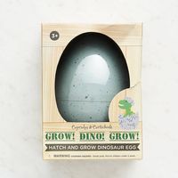 Hatching Dinosaur Egg