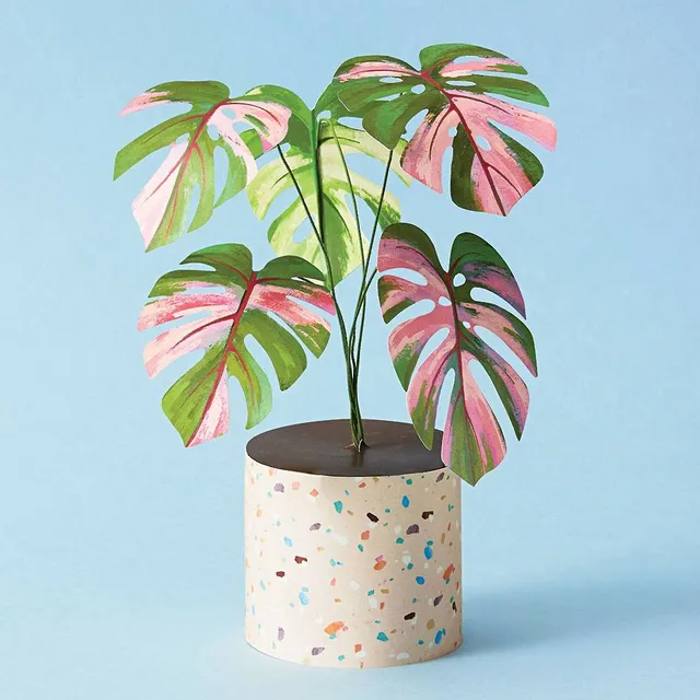 Paper Monstera Plant DIY Kit – Lovepop