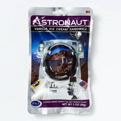 Astronaut Ice Cream Sandwich