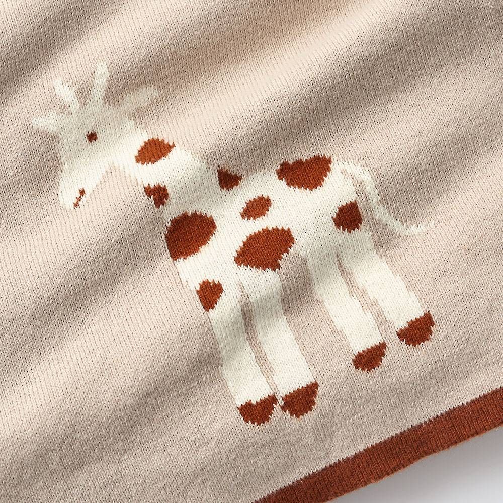 Giraffe Baby Blanket