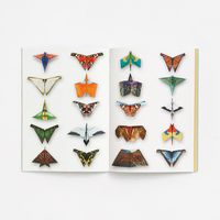 Fold & Fly Butterflies and Birds