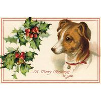 Christmas Cats and Dogs Postcard Set