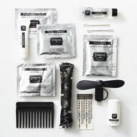 Palm Palms Summer Kit