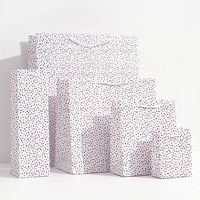 Confetti Flurry Gift Bags