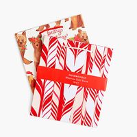 Candy Cane and Beary Christmas Gift Bag Set