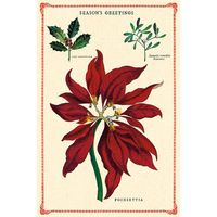 Christmas Botanica Vintage Postcard Set