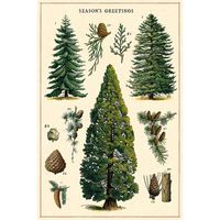 Christmas Botanica Vintage Postcard Set