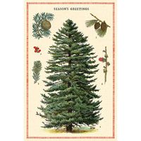 Christmas Botanica Vintage Postcard Set