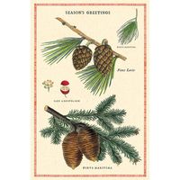 Christmas Botanica Vintage Postcard Set