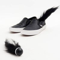 Shoe Skunks