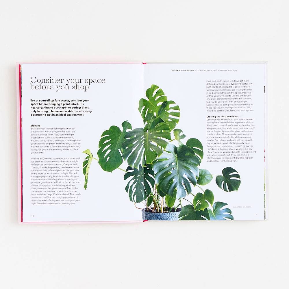How to Raise a Plant