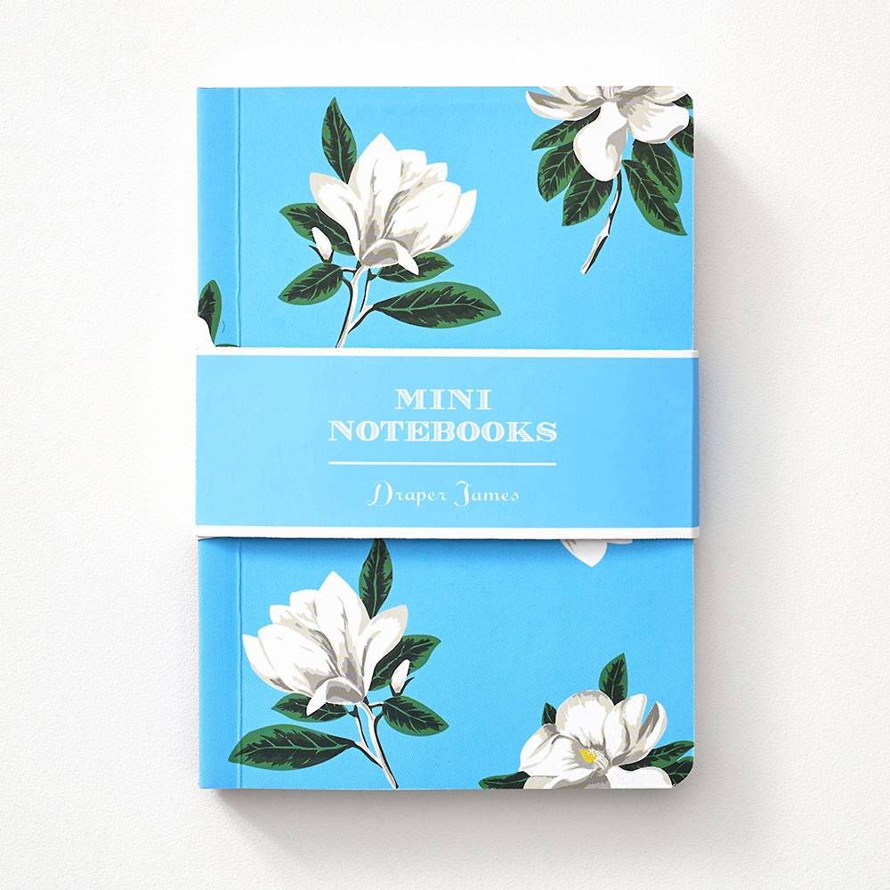 Mini Journals