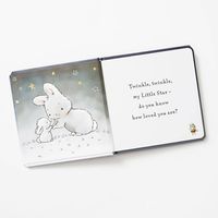 The Little Star Bunny Book