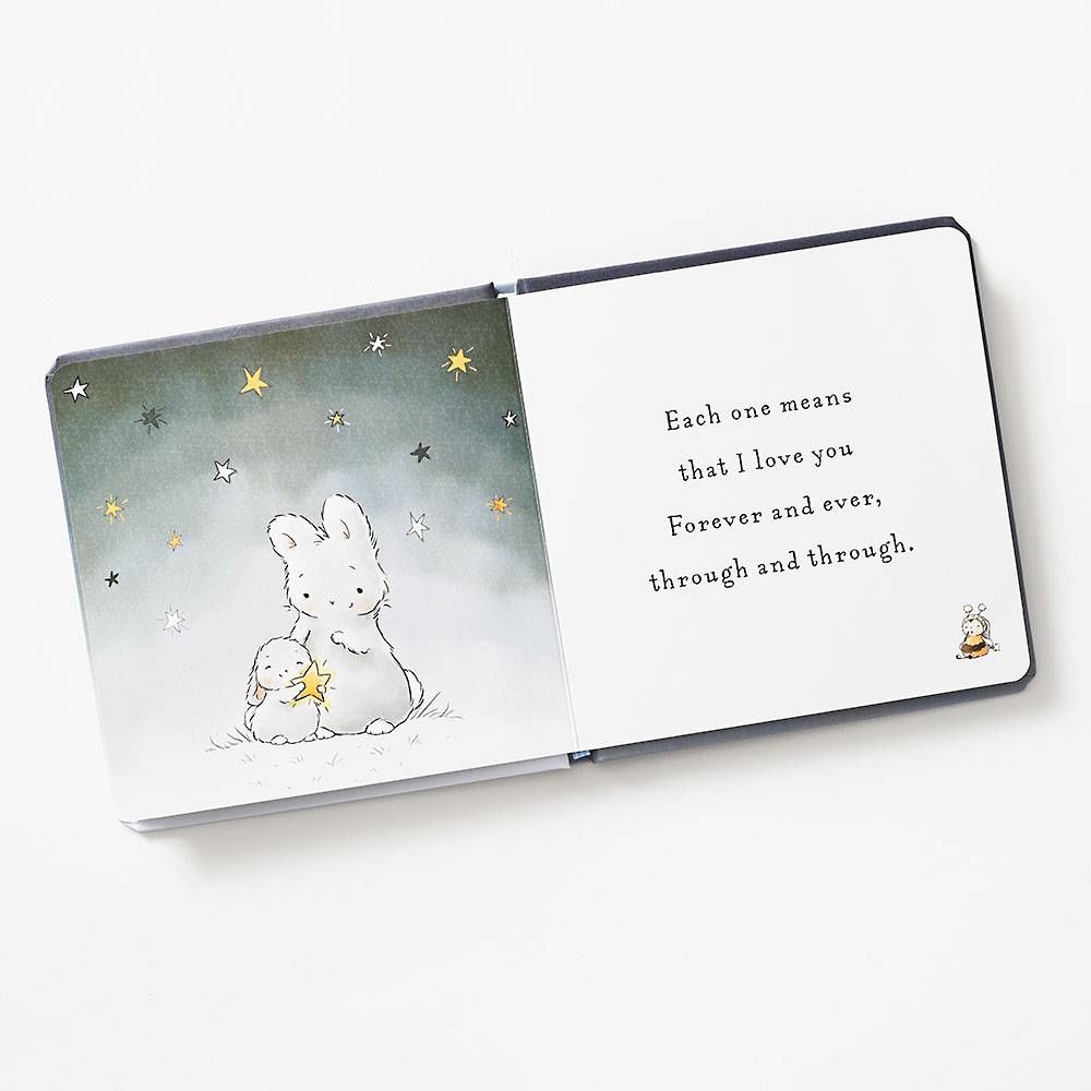 The Little Star Bunny Book