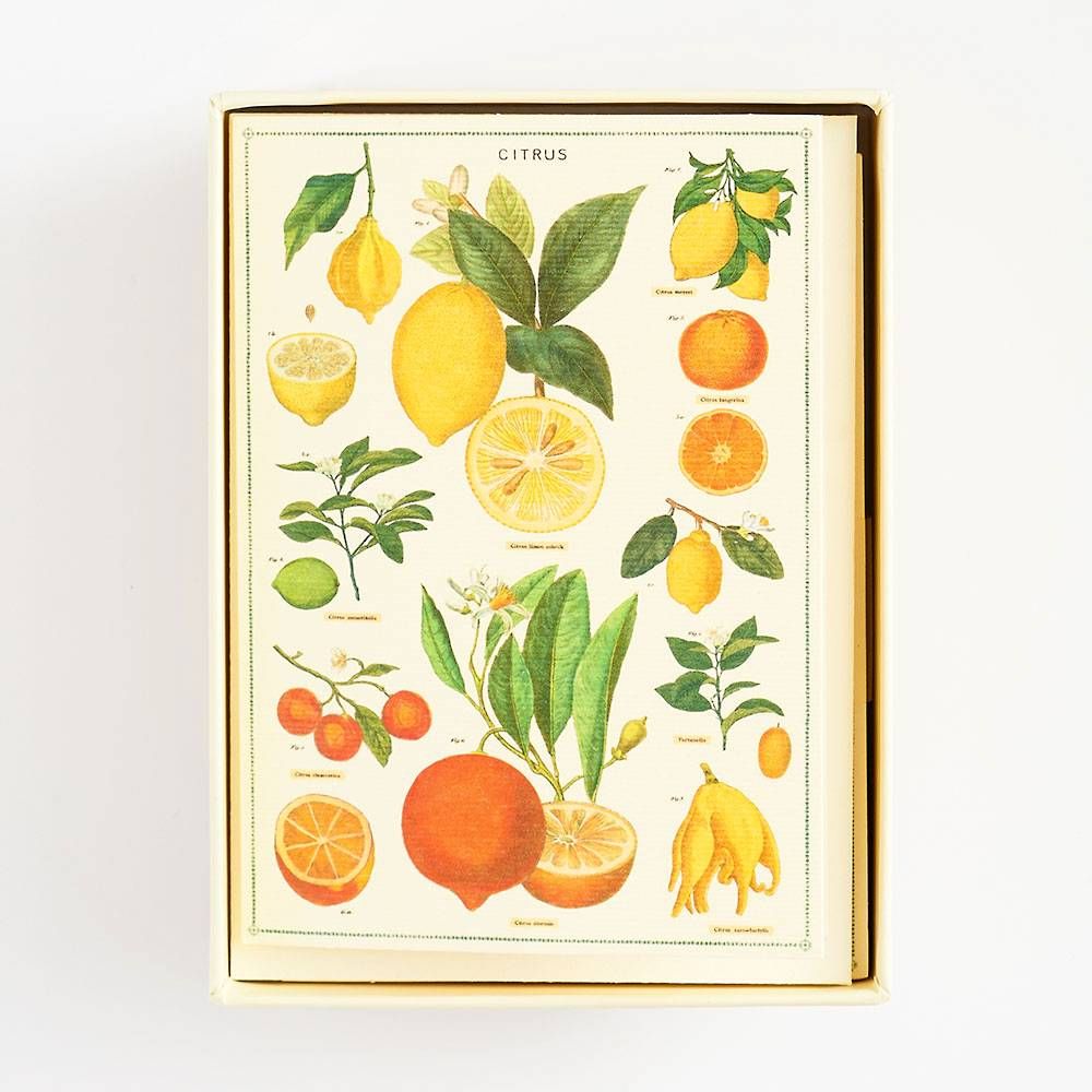 Jardin Stationery Set