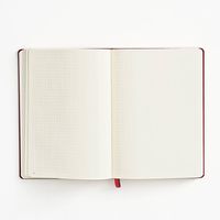 Berry Bullet Journal