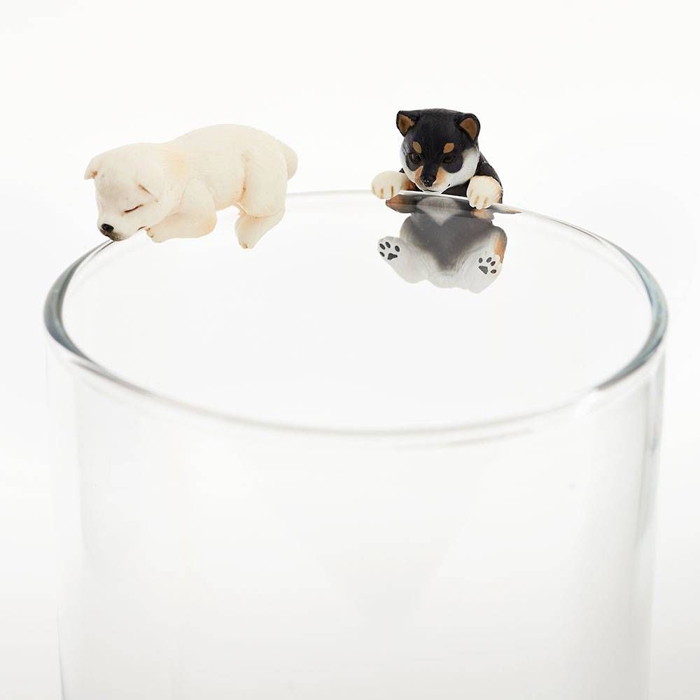 Shibainu Blind Box