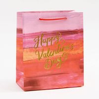 Painted Happy Valentine's Day Gift Bags