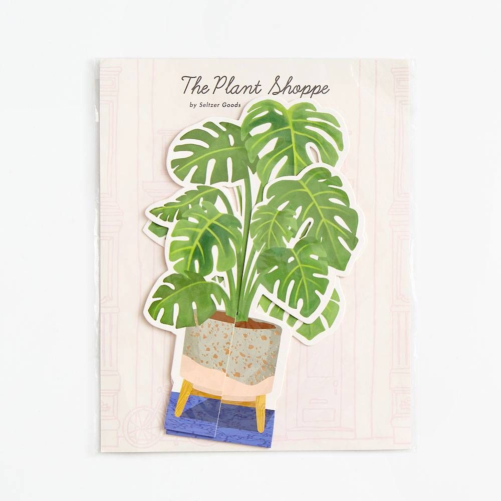 Monstera Pop-Up Paper Plant