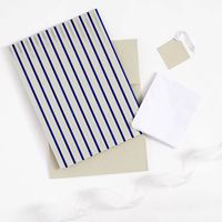 Blue & Silver Stripe Large Foldable Box