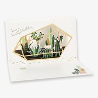 Cactus Terrarium Popup Birthday Card