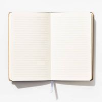 Gravel Paper Wasp Lined Journal