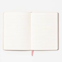 Blush Noteworthy Leatherette Journal