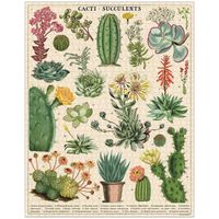 Cacti And Succulents Puzzle