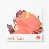 Assorted Fall Leaves