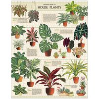 House Plants Puzzle