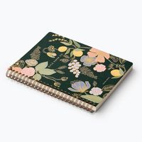 Collette Journal