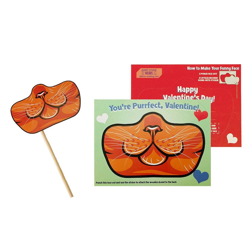 Funny Face Pet Mask Valentine Card Set