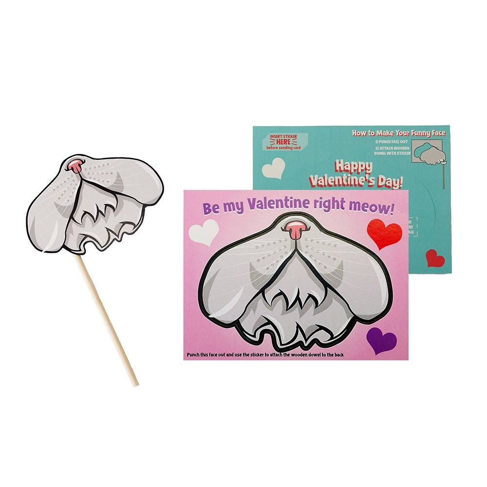 Funny Face Pet Mask Valentine Card Set